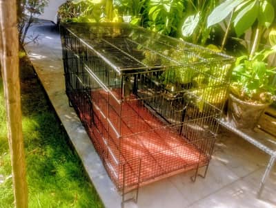 CAGES FOR SALE – ISLAMABAD