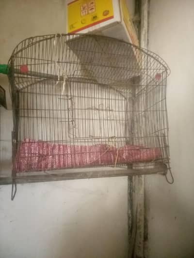 2 / 3 fot ka cage ha  murgyan ajati hn isme. baray today b