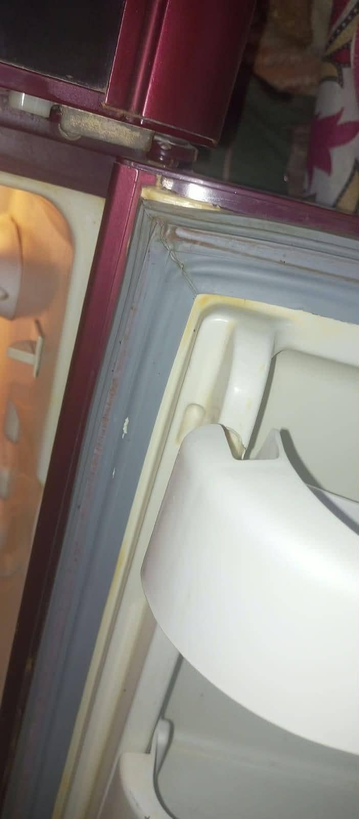 Orient Fridge 6