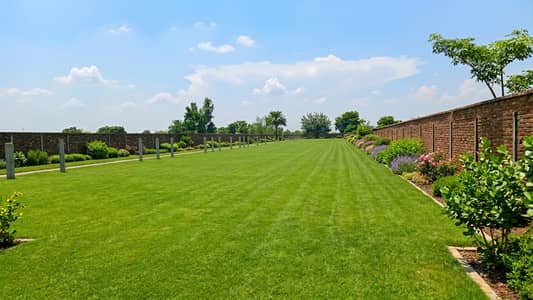 64-Kanal Farmhouse Land with Boundary Wall | Ideal for Farmhouse, Marquee & Event Venue