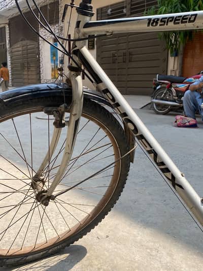 phoenix gear bicycle 21 speed