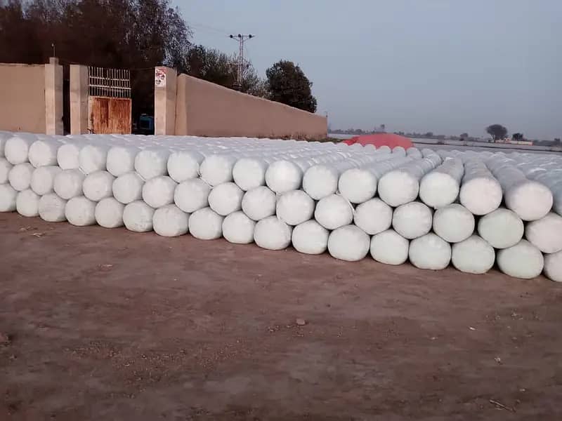 Corn Silage چوہدری سائیلج 5