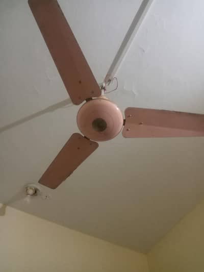 Fans sale