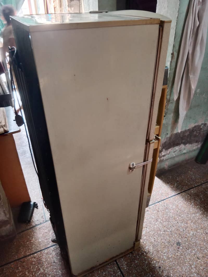 PEL Fridge medium 7