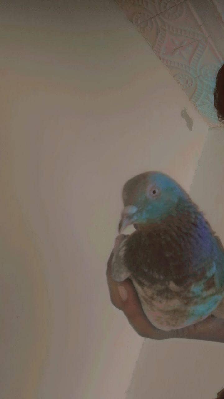 only 3500 3