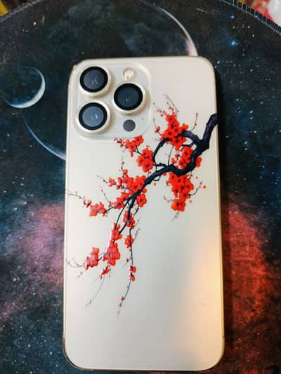 Apple iPhone 13 Pro