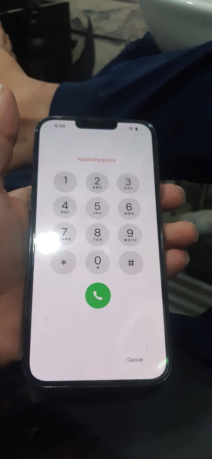 Apple iPhone 13pro max 4