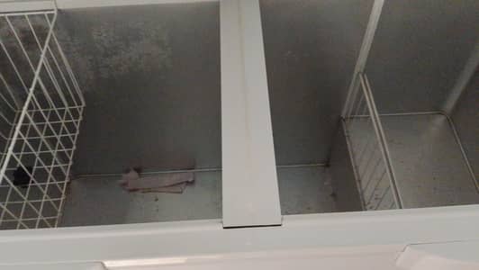 freezer