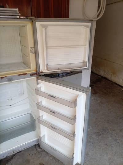 donas refrigerator meduim size