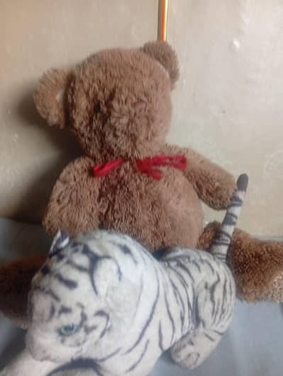 the bear and tiger