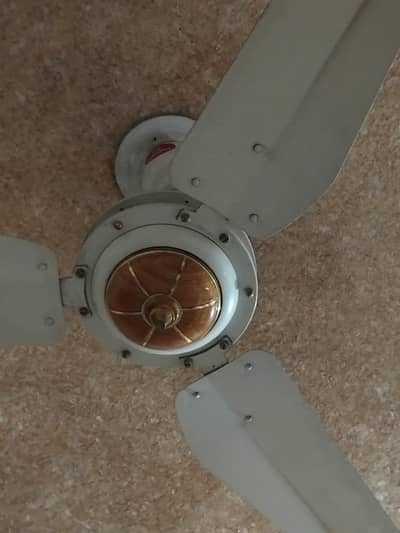 2 CELLING FANS