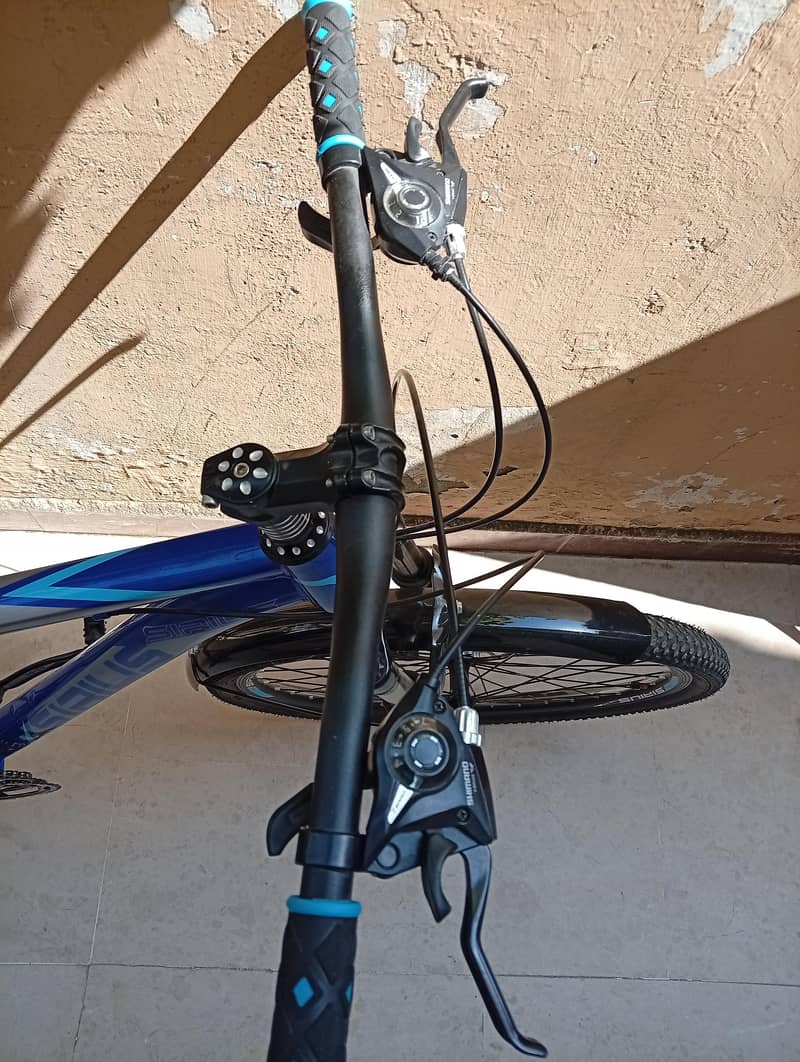 Bicycle 1