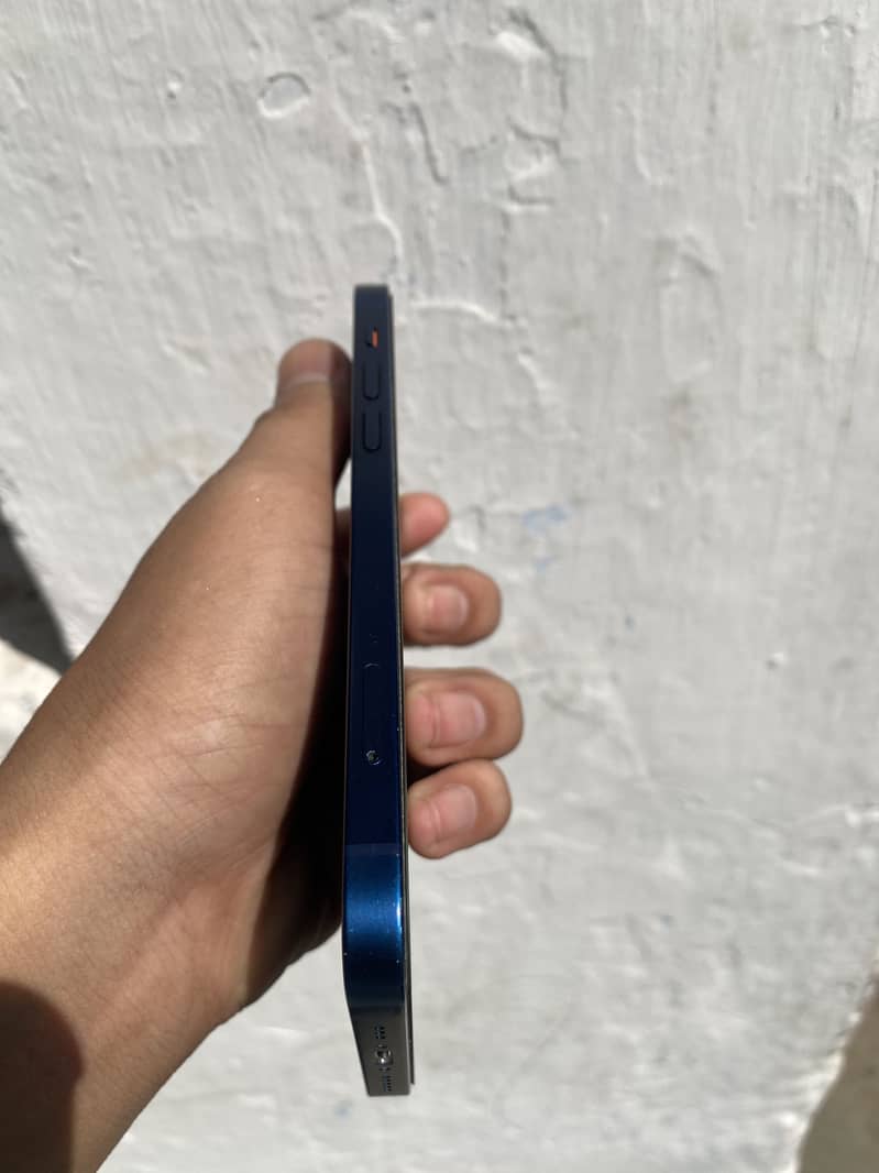 Apple iPhone 12 1