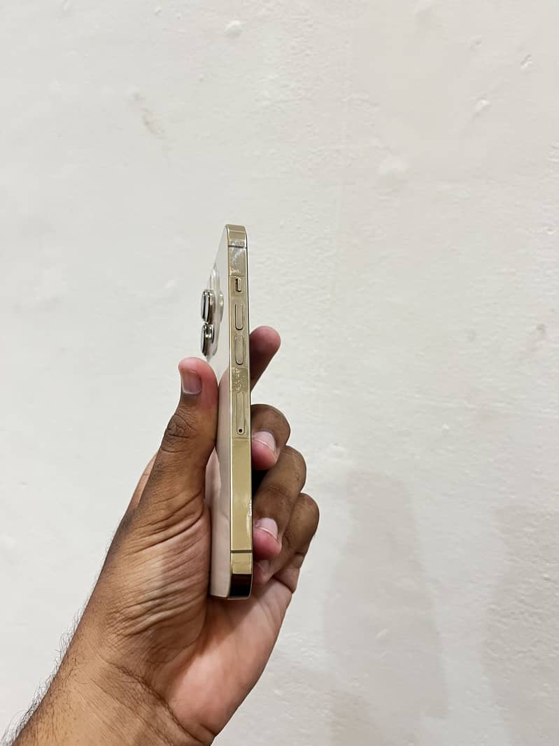 Apple iPhone 13 Pro 1