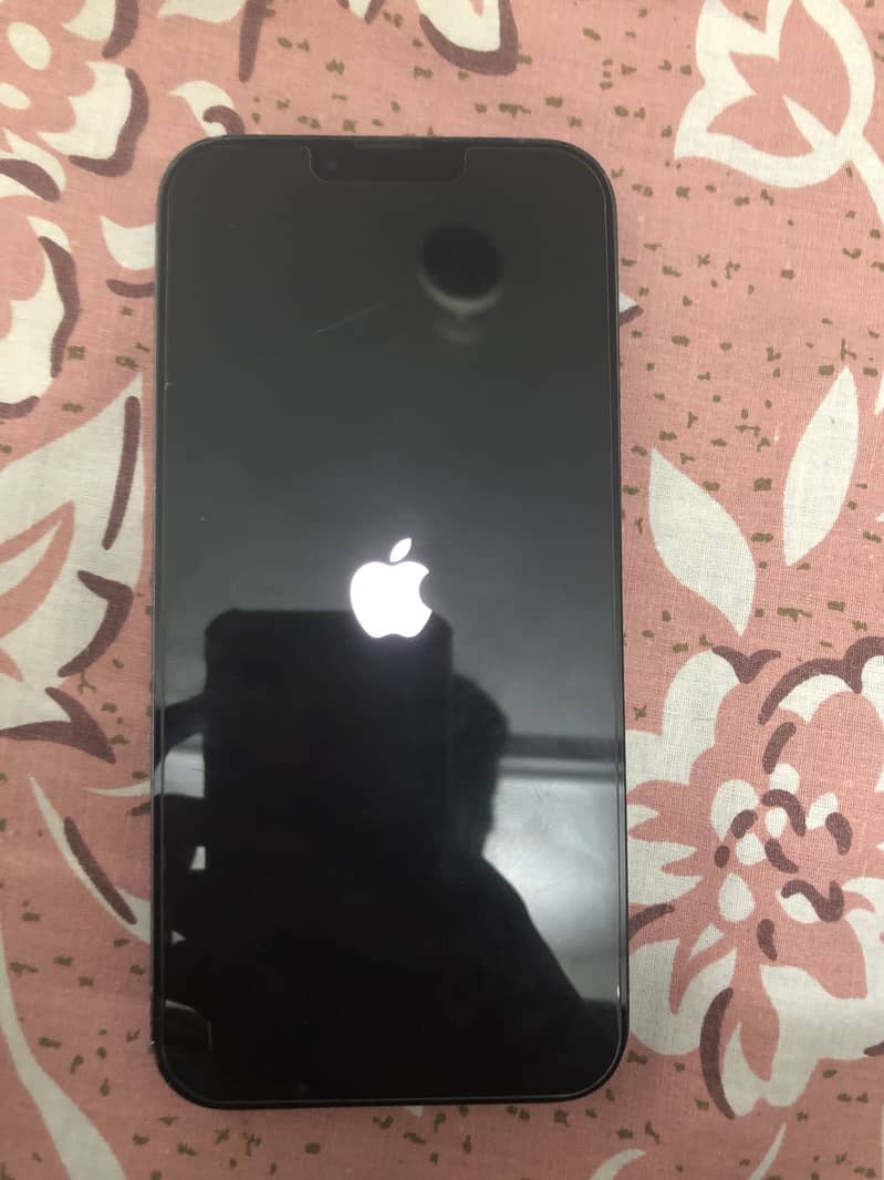 Apple iPhone 13 Pro Max 1