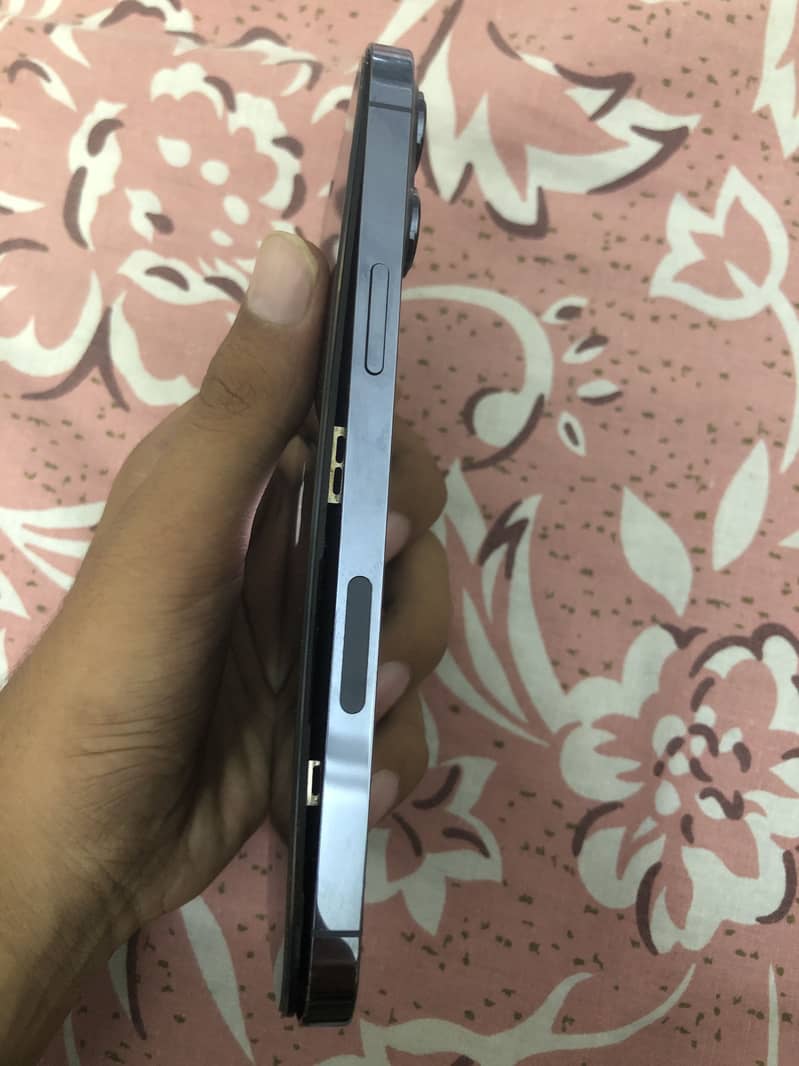 Apple iPhone 13 Pro Max 2