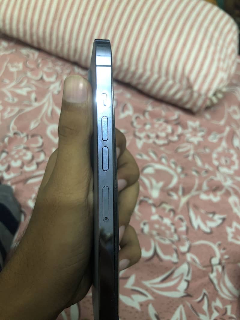 Apple iPhone 13 Pro Max 4