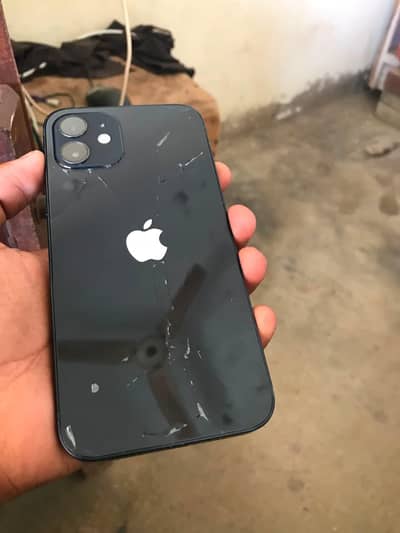 Apple iPhone 12