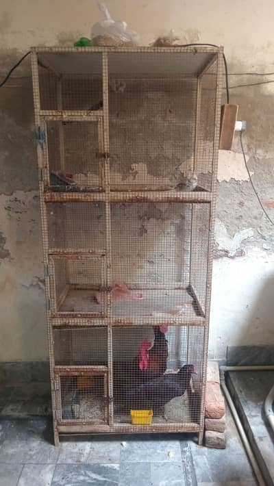 iron cage