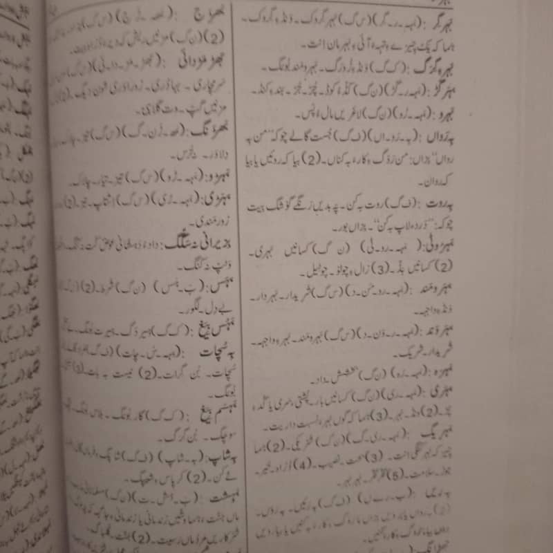 بلوچی لبز بلد/ سرشونکار ۔ جان محمد دشتی 3