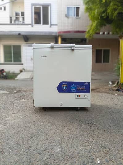 Haier D freezer singel door small size (0316/442/6969) genuine