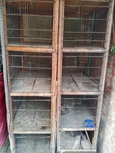 pingra for sale  us for hen peachen and birds