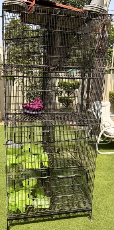 Large Bird Cage for Sale