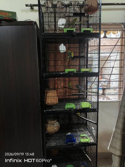 All setup sale