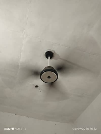 Ceiling Fan only 1 year used