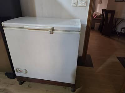 Waves Deep Freezer – Perfect Working Condition