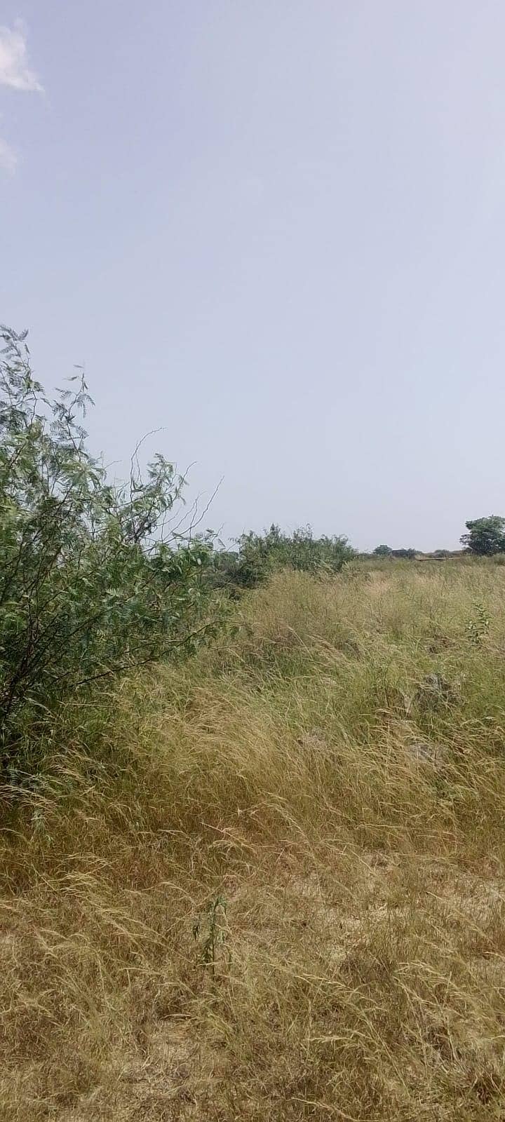 mani adda 4