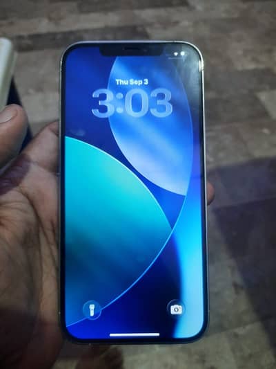 Apple iPhone 12 Pro Max