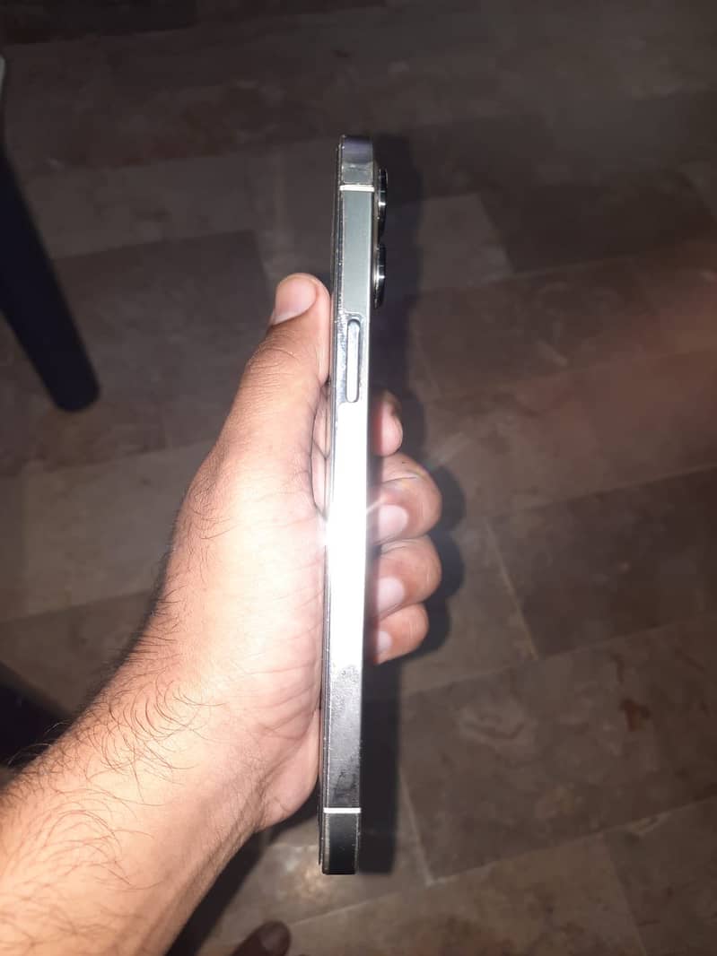Apple iPhone 12 Pro Max 2