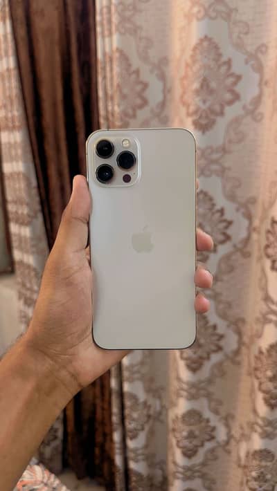 iPhone 12 Pro Max  |  256GB  |  Factory Unlock  |  exchange possible