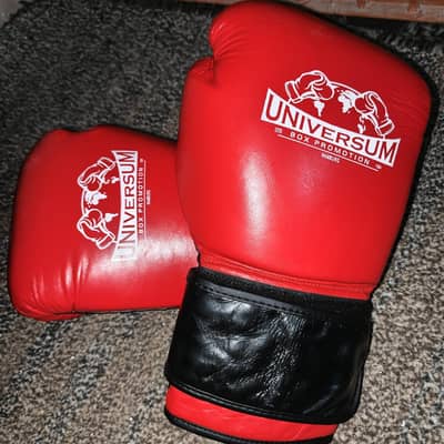 Boxing bag and Boxing Gloves