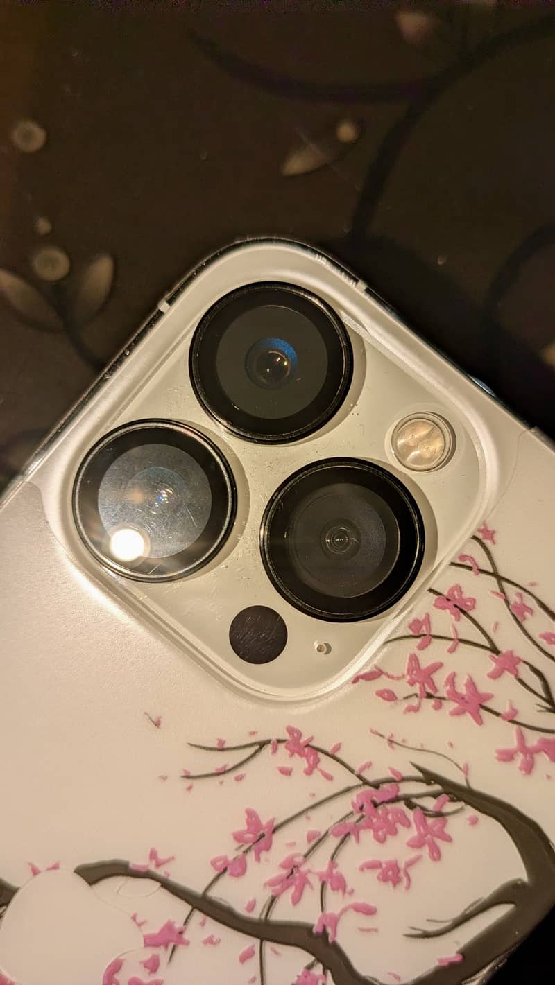 iPhone 13 Pro 0