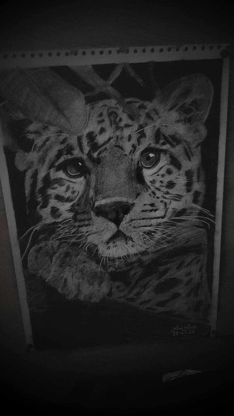 sketch 2