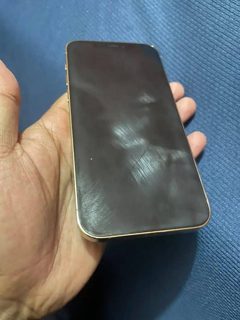 iPhone 12 Pro 1