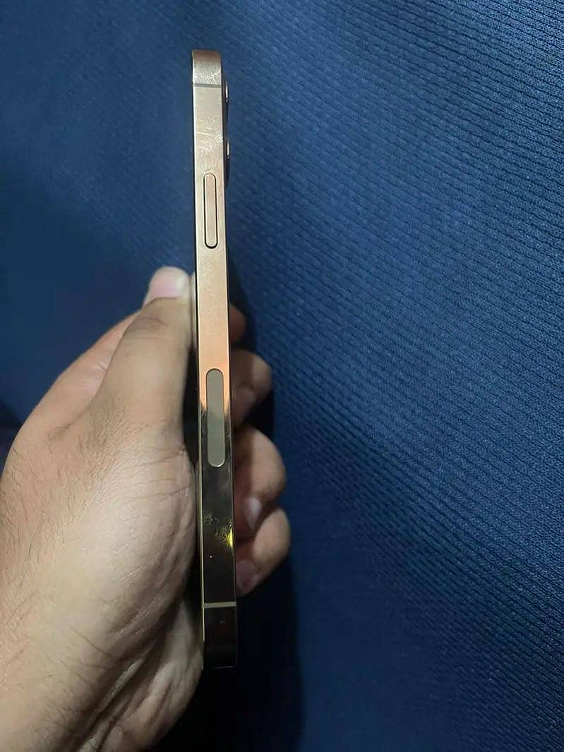iPhone 12 Pro 2