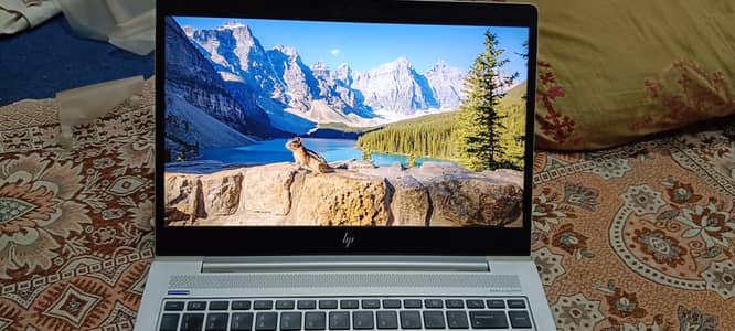 HP EliteBook Core i5 8th Gen | 16GB RAM | 256GB SSD