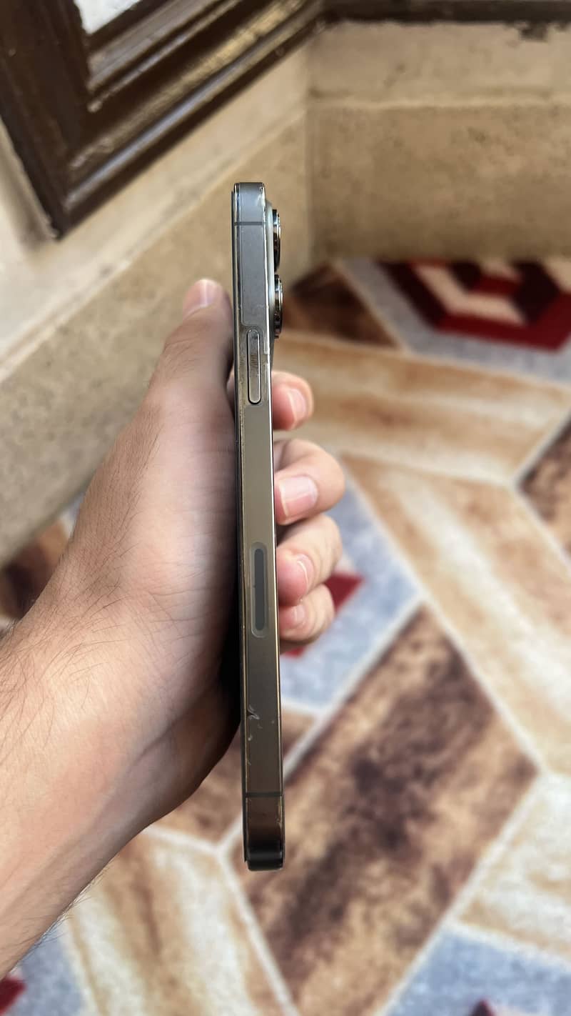 Apple iPhone 13 Pro Max 0