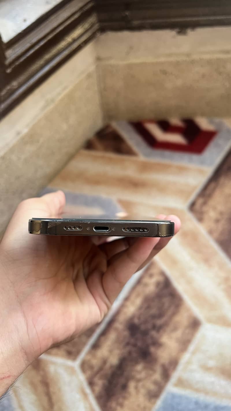Apple iPhone 13 Pro Max 1