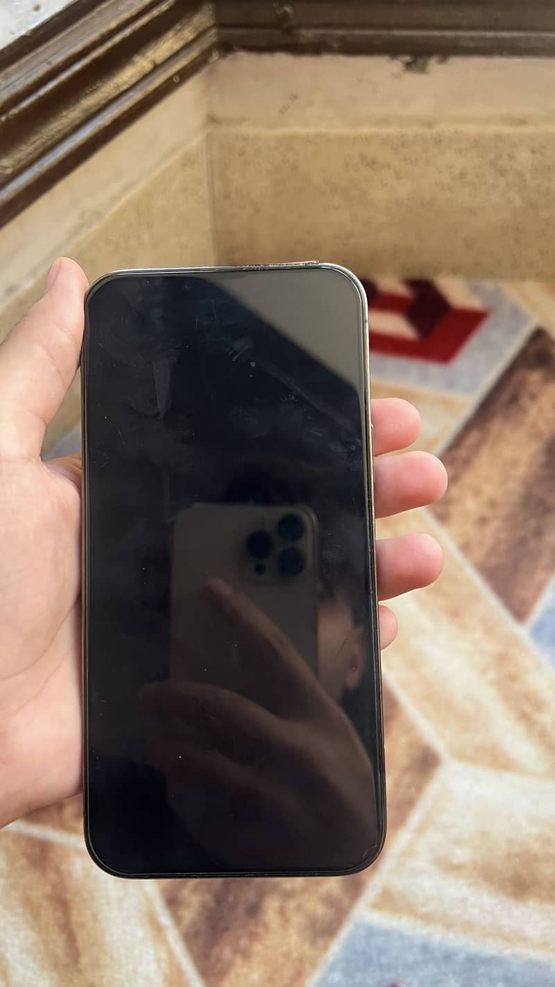 Apple iPhone 13 Pro Max 3