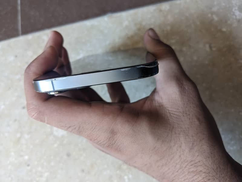 Apple iPhone 13 Pro Max 3
