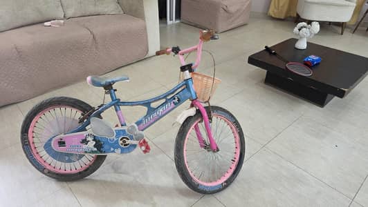 pink and blue girls cycle