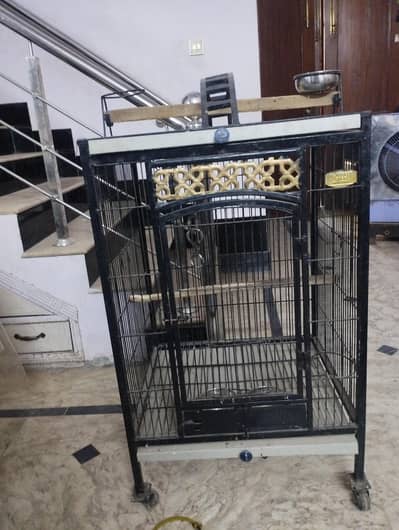 cage pinjra for birds