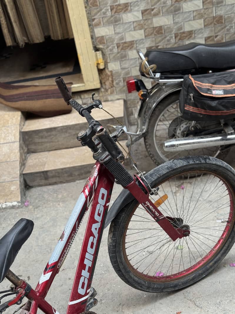 Chicago Cycle 3