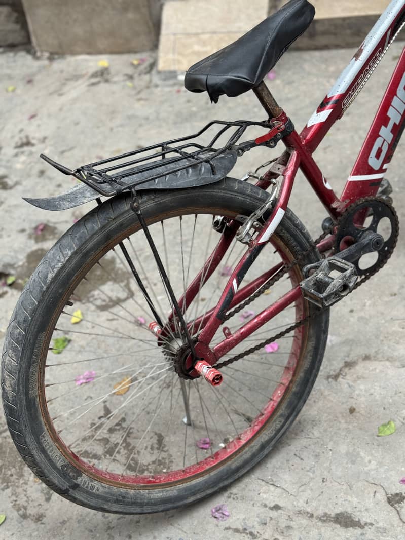 Chicago Cycle 5