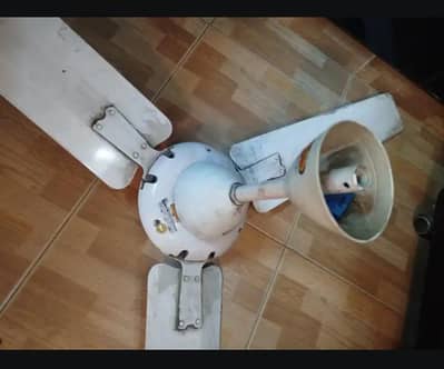 Ceiling Fans & padestar Fan