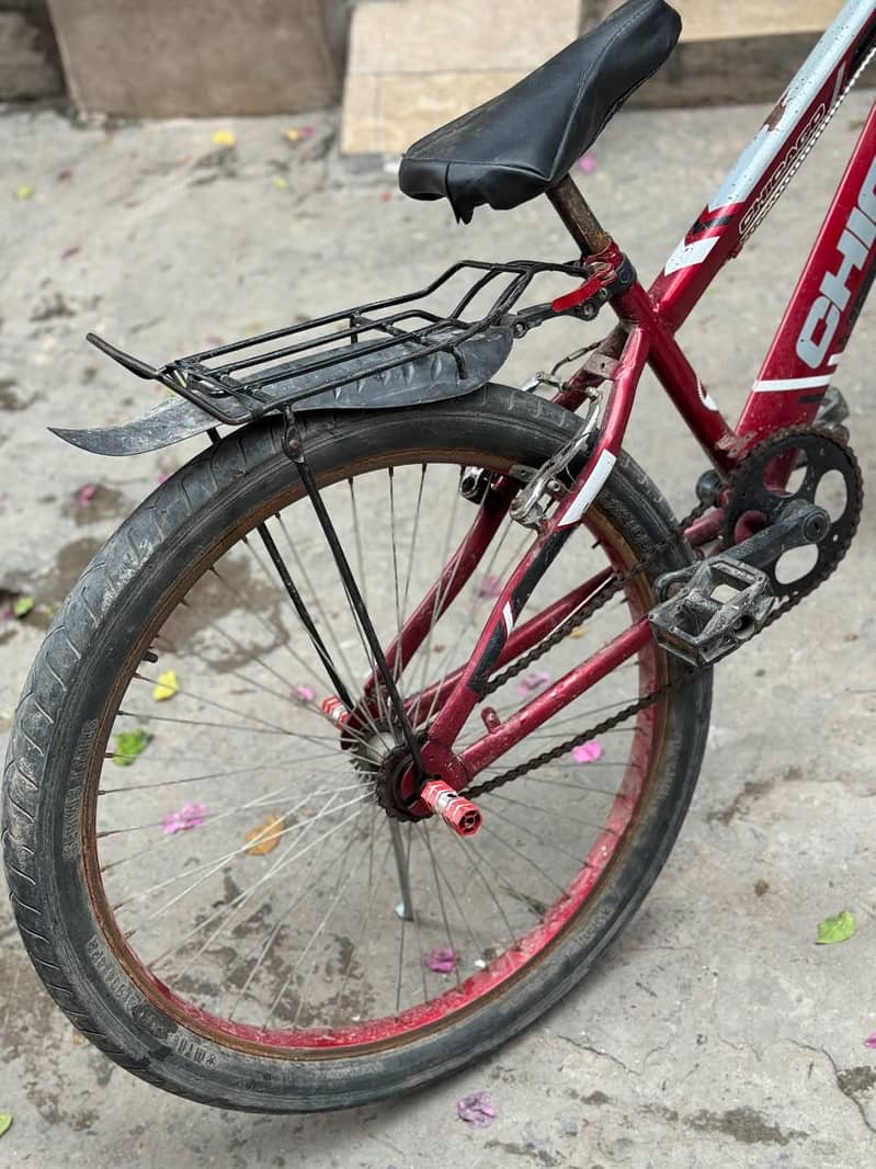 Chicago cycle 3